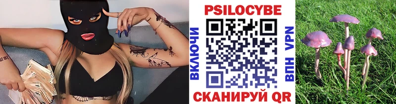 blacksprut ONION  Неман  Галлюциногенные грибы Psilocybine cubensis  купить  сайты 