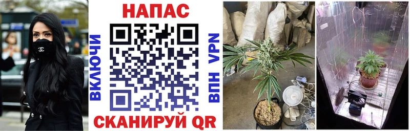 Конопля THC 21%  где можно купить наркотик  Неман 